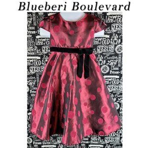 Blueberi Boulevard Dress Size 4